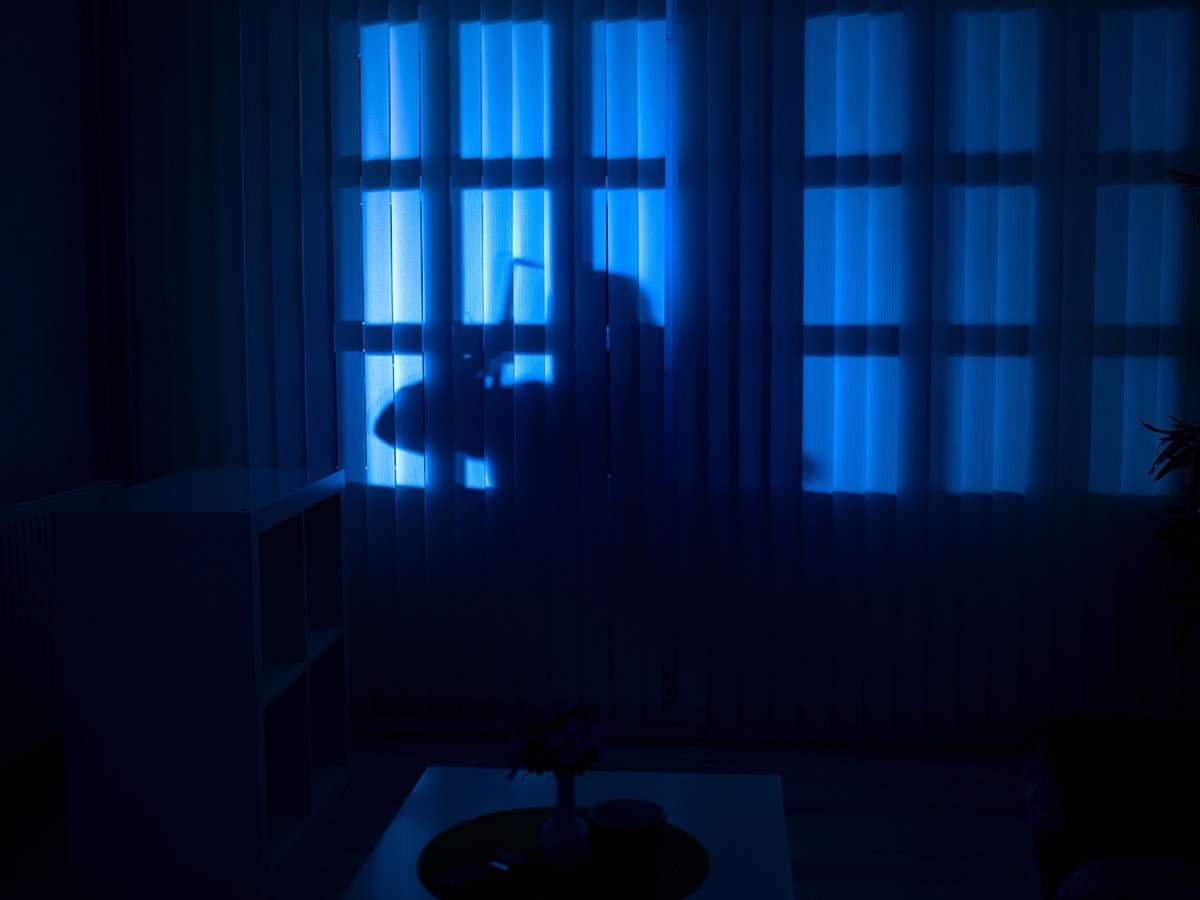 Burglar